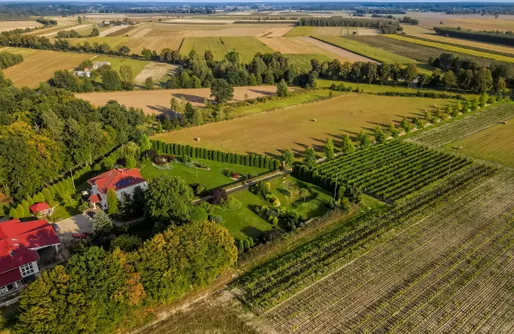 Zdjęcie obiektu Miejsce kamperowe - Winnica Sienkiewicz
