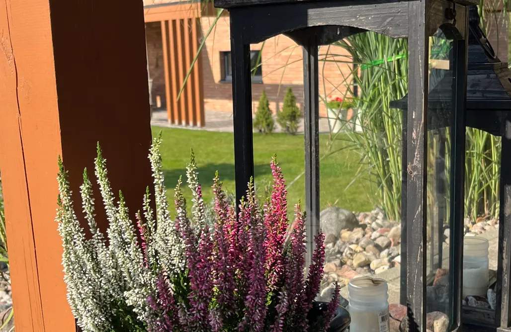 noclegi AlohaCamp Czaple Resort 1