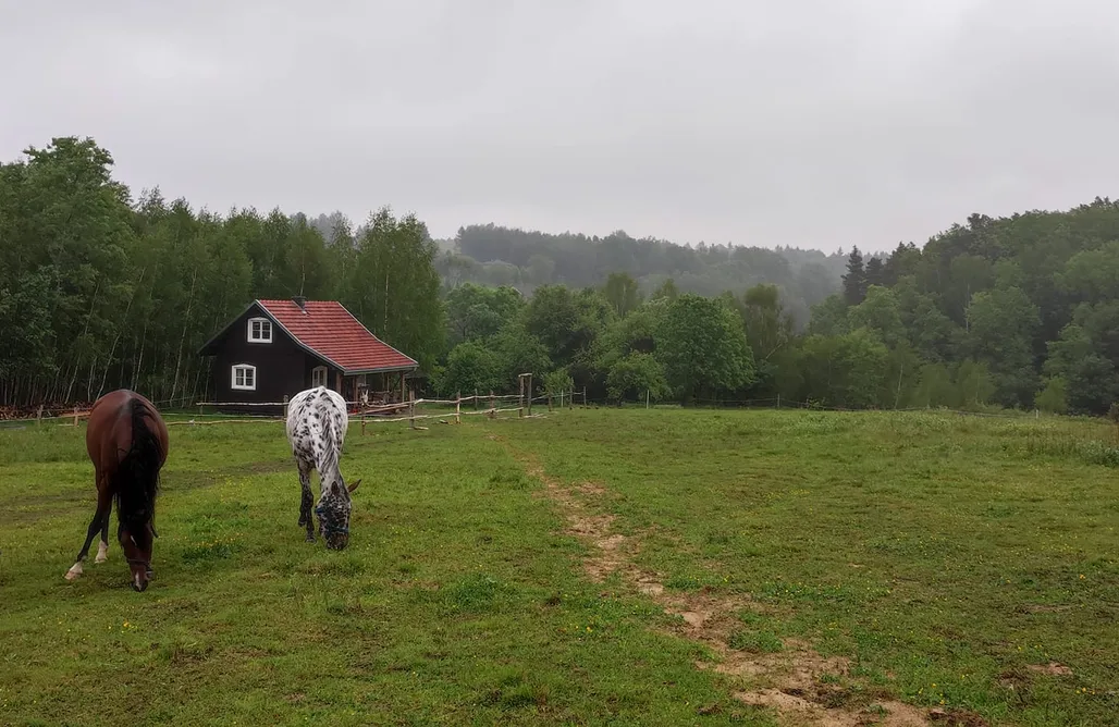 AlohaCamp Domek Nad Bobrowiskiem  2