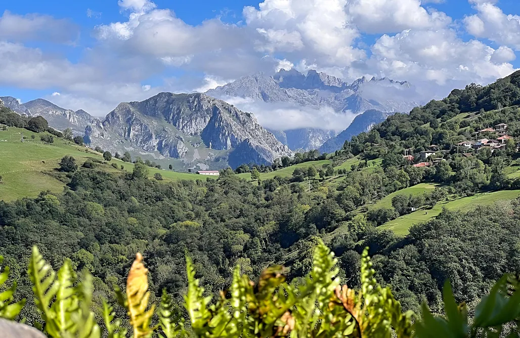 AlohaCamp El Refugio de Busgosu 1