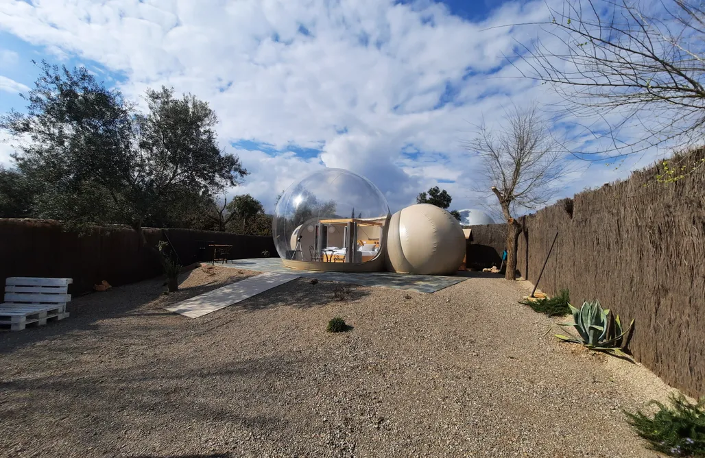 AlohaCamp Yuri Premium King 4