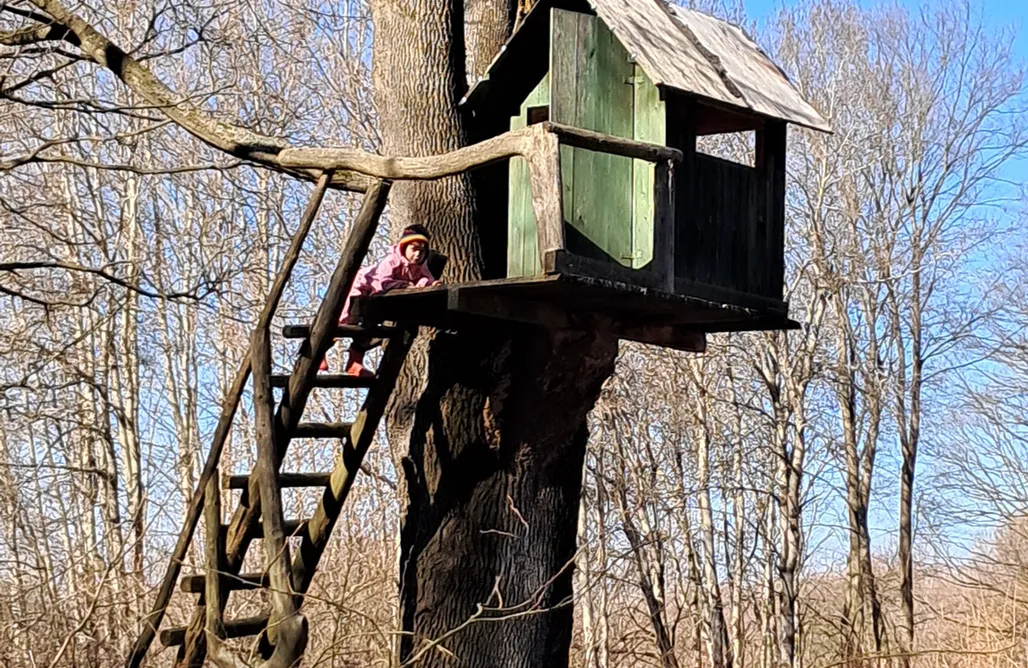 AlohaCamp Dom Geologa 1