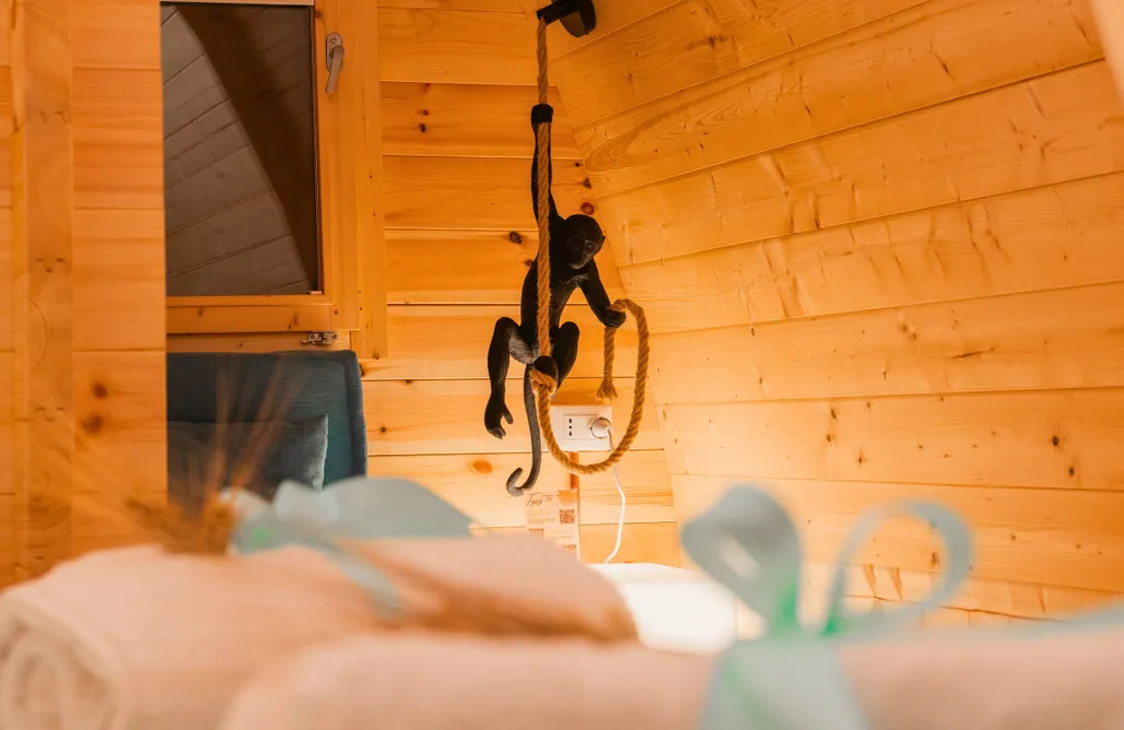 AlohaCamp Villa Yucca - Luxury Glamping Experience 4