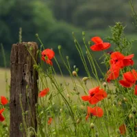 Agnieszka Gastgebe Makihyte dom na wyłączność z panoramą na morze i strefą SPA