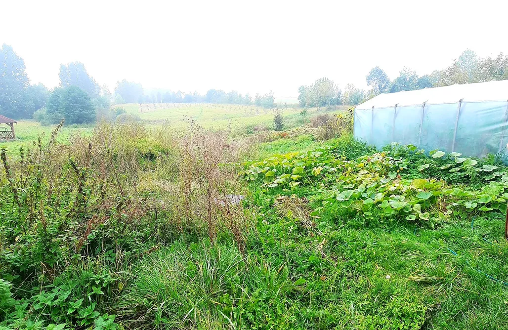 noclegi AlohaCamp Kacze Bagno - Miejsce Inicjatyw Pozytywnych  1