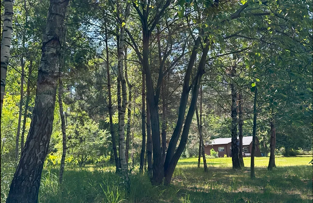 noclegi AlohaCamp Leśna Polana 5