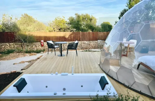 Imagen de Burbuja Gran Olivo