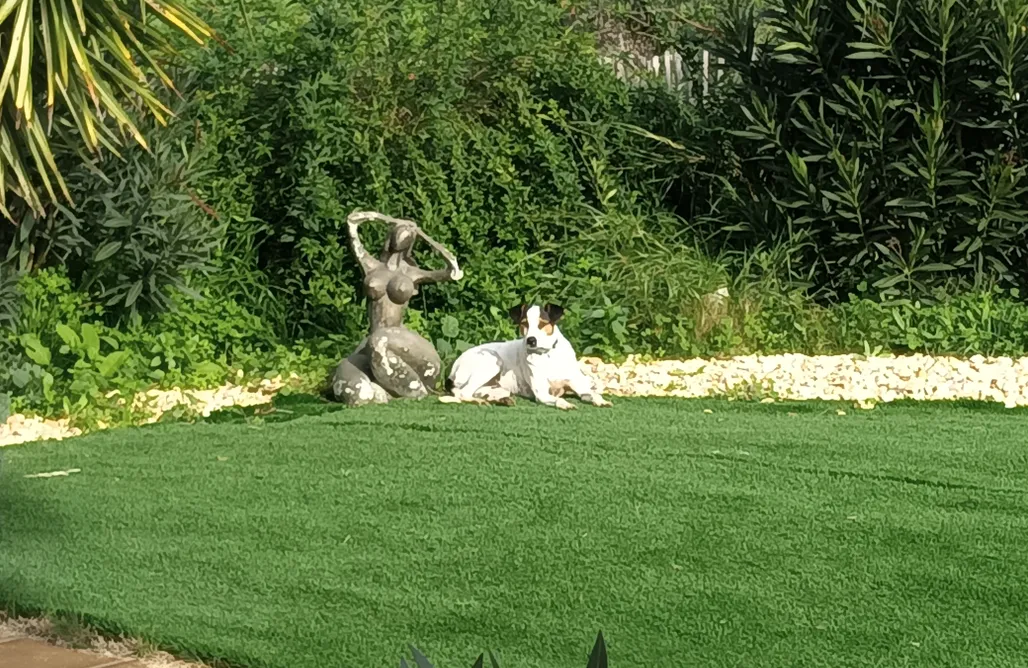 alojamientos AlohaCamp Finca Casa Halcón 1