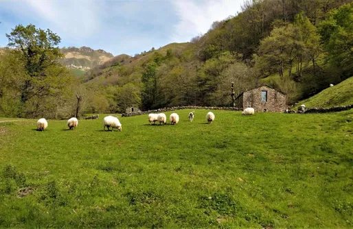 Imagen de Pidream Cottage. Cabaña de Pisueña