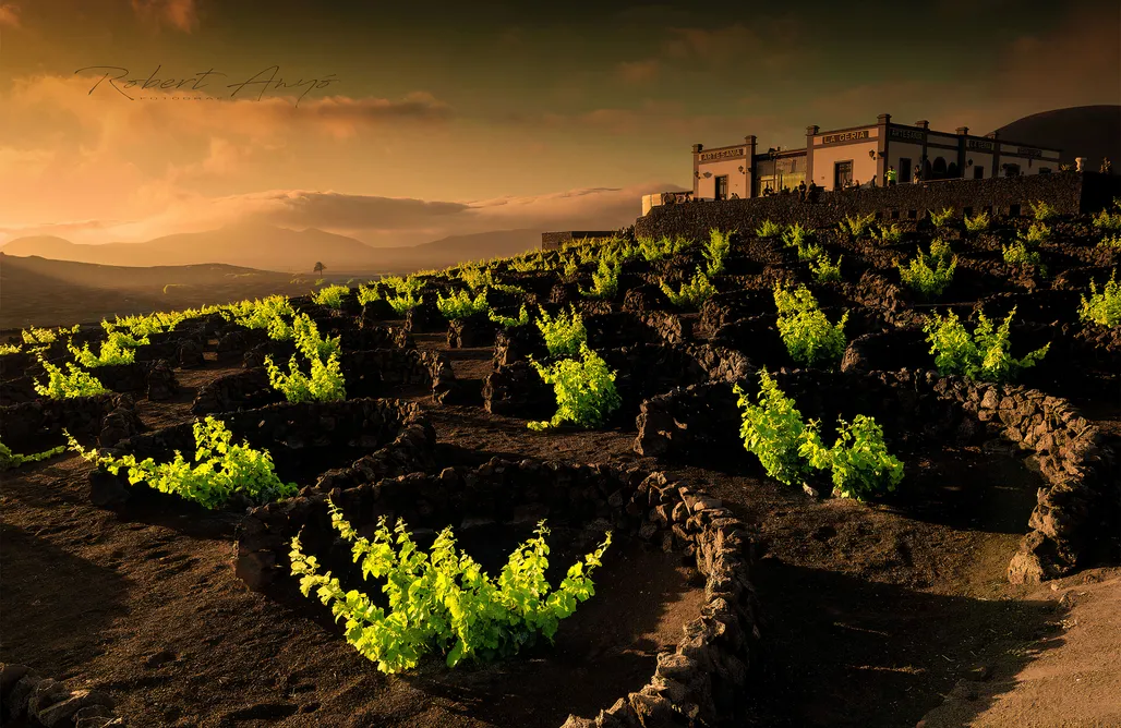 AlohaCamp accommodation Villa Laura Guatiza 1