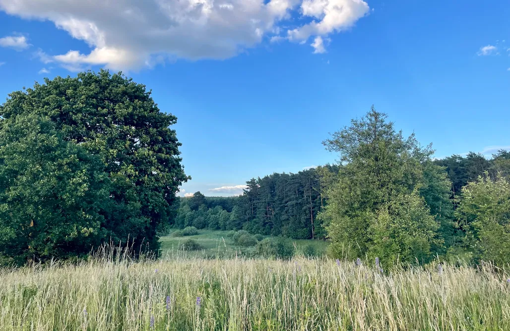 Glamping Poland Mazurski Świt - domek z sauną dla dwojga  1