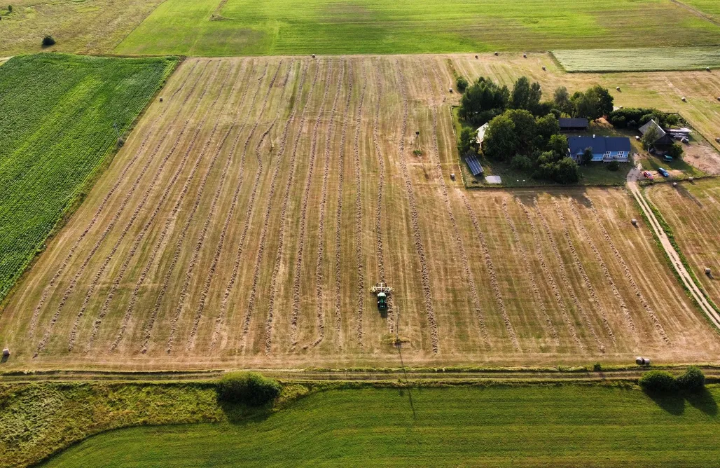 Domki W Lesie Wiejskie podwórze Ekologiczne gospodarstwo agroturystyczne 1