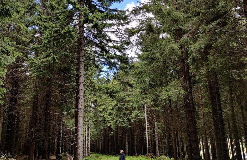 AlohaCamp Jurta Bordowa (max 4 os. dorosłe) 1