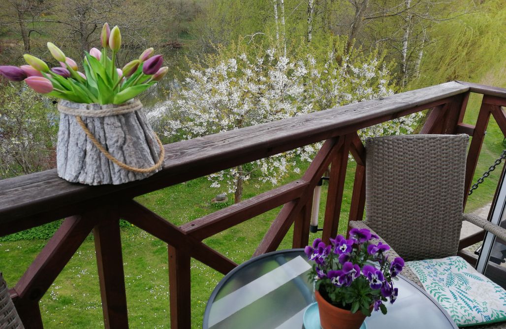 AlohaCamp Oaza ciszy. 1