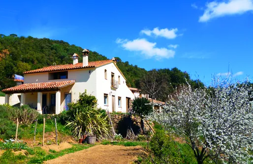 Imagen de Mas Vinyoles