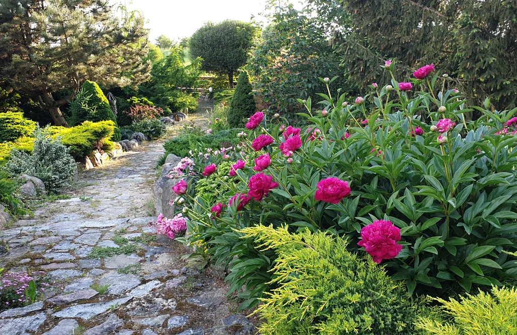 AlohaCamp Komfortowy domek nad jeziorem Tałty na Mazurach w prywatnym parku 1