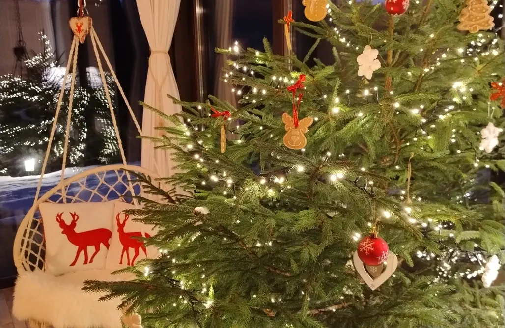 Alloggi AlohaCamp Skalny Zakątek 4