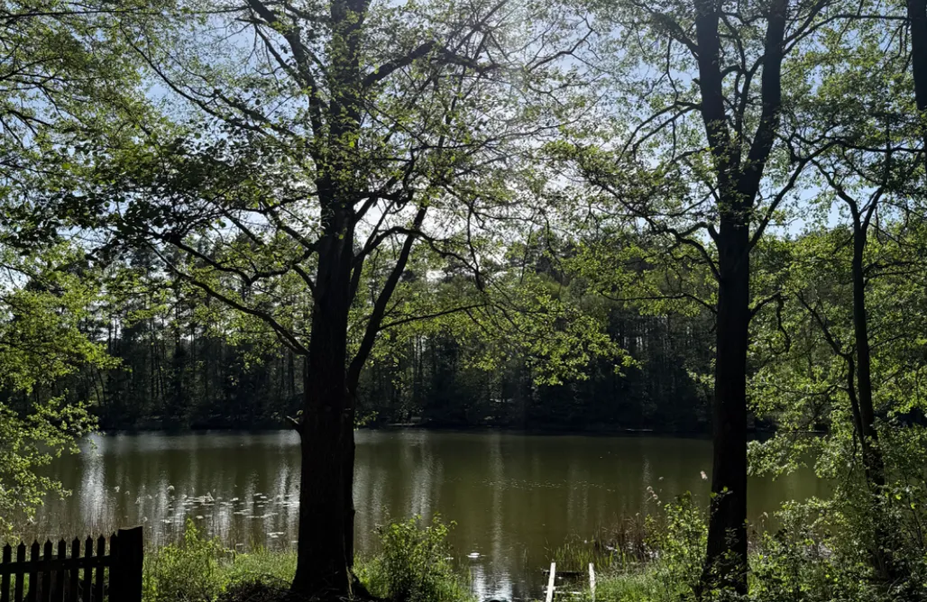 alojamientos AlohaCamp Domek Wśród Wód 5