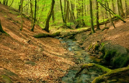 Zdjęcie obiektu Domki na Kaszubach