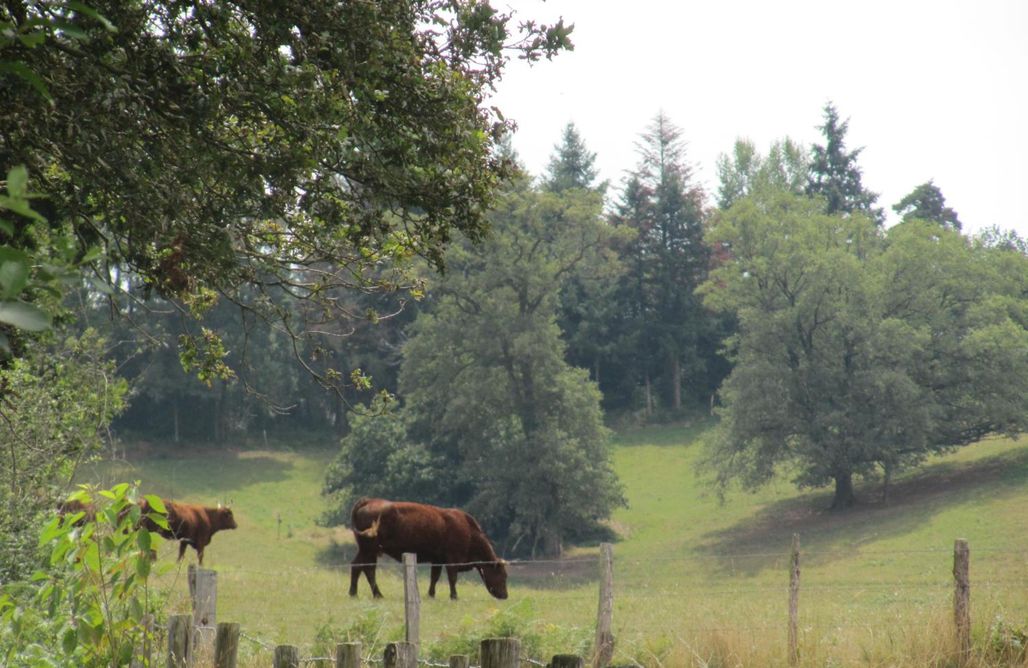 AlohaCamp accommodation Camping Moulin De Chaules 1
