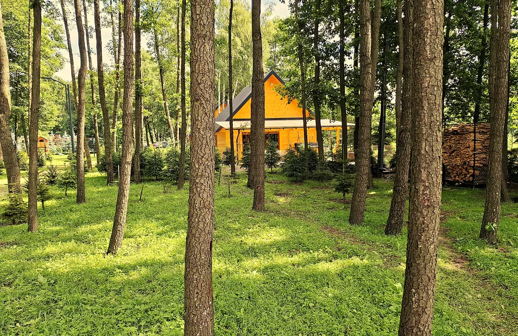 noclegi AlohaCamp Zatylove domki - Sosnowy 5