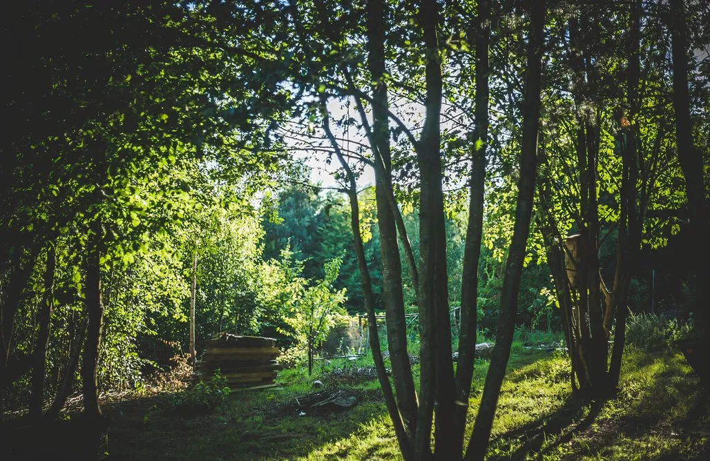 noclegi AlohaCamp Dom z Duszą Pomlewo  4