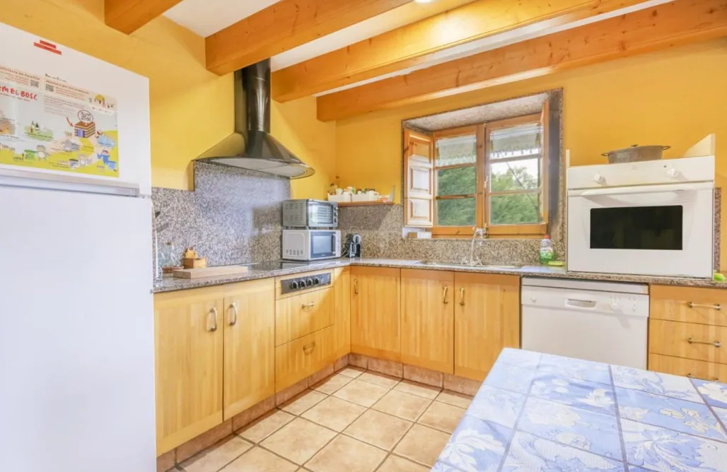 Casas rurales Pirineo Aragonés Cal Viudet Vell 1