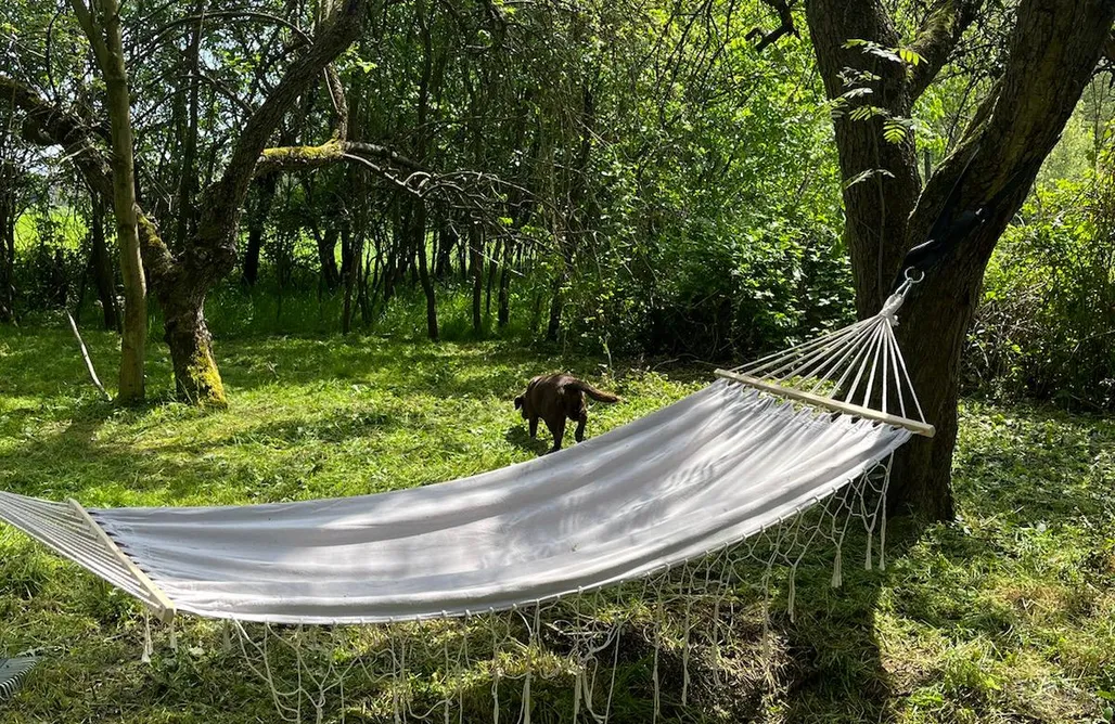 Pole Namiotowe Zakopane Miejsce kamperowo-namiotowe Siedlisko Przylesie 1