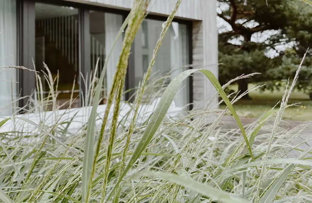 AlohaCamp DOM BABKA Z PIACHU 1