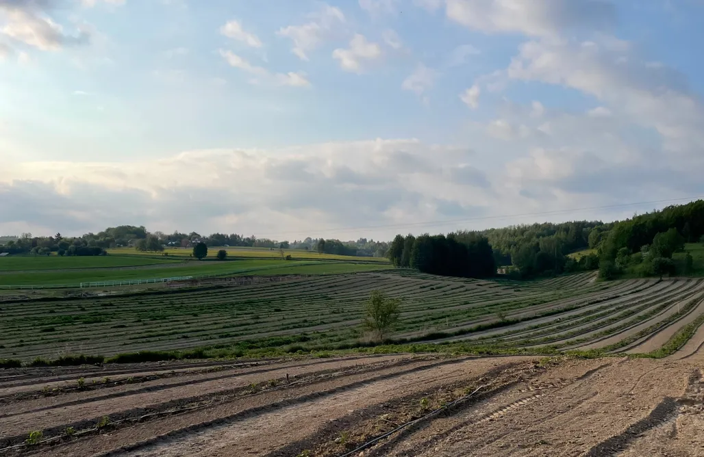 Glamping Sielska Biene 1