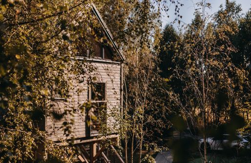 Zdjęcie obiektu DRZEWOstan