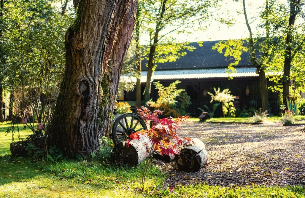 AlohaCamp Wiejski Raj 2 1