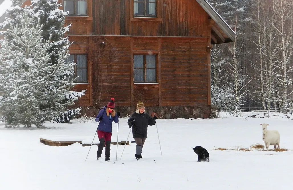 Alloggi AlohaCamp Zagroda Kuwasy 4