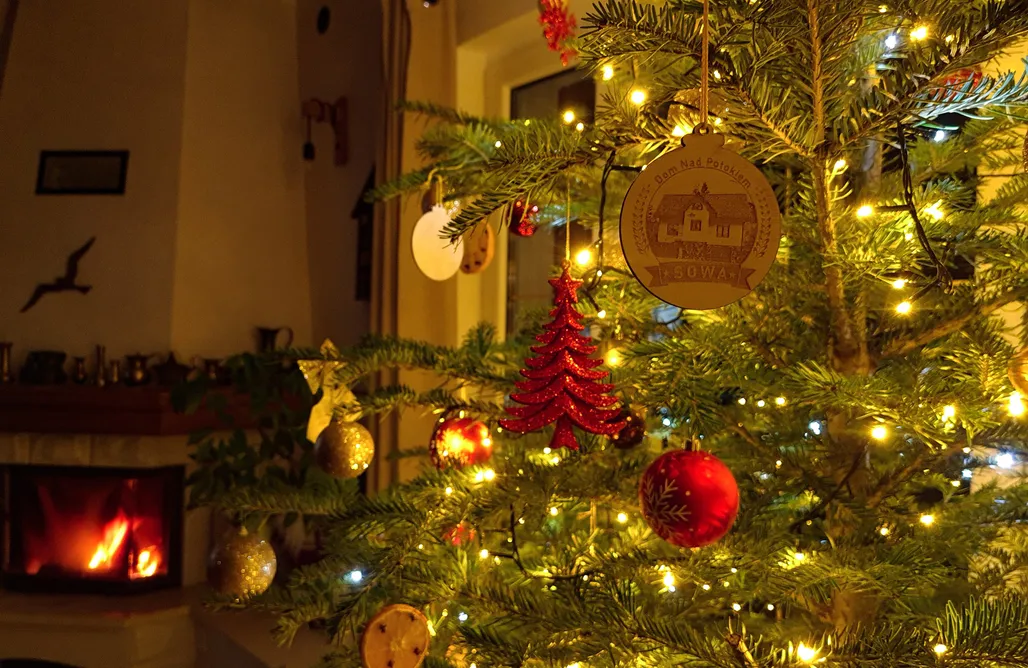 noclegi AlohaCamp Dom nad Potokiem Sowa  1