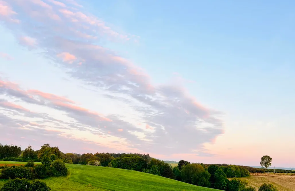 noclegi AlohaCamp Glamping Sfera Marzeń 5