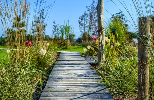 Zdjęcie obiektu Pod mazurskim niebem
