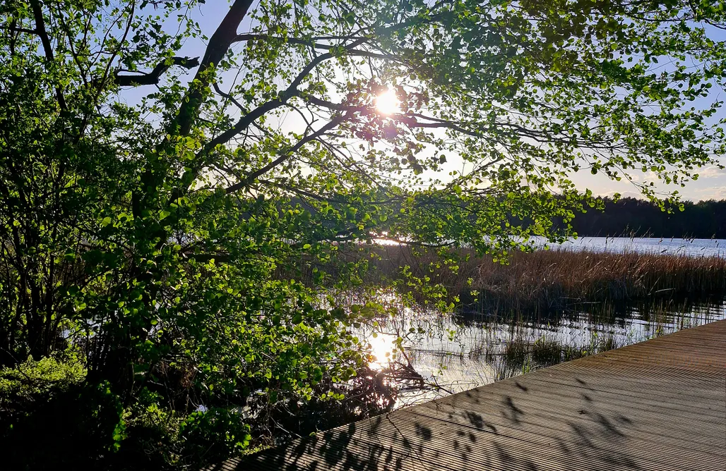 AlohaCamp Dom Józef 1