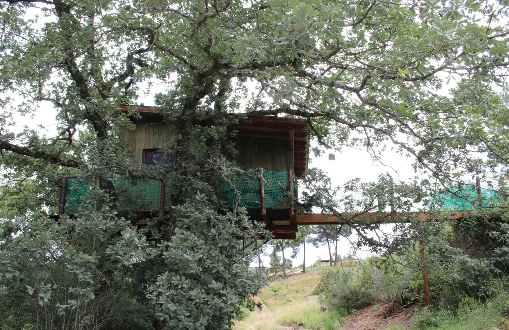 AlohaCamp accommodation Cabaña Natura 2