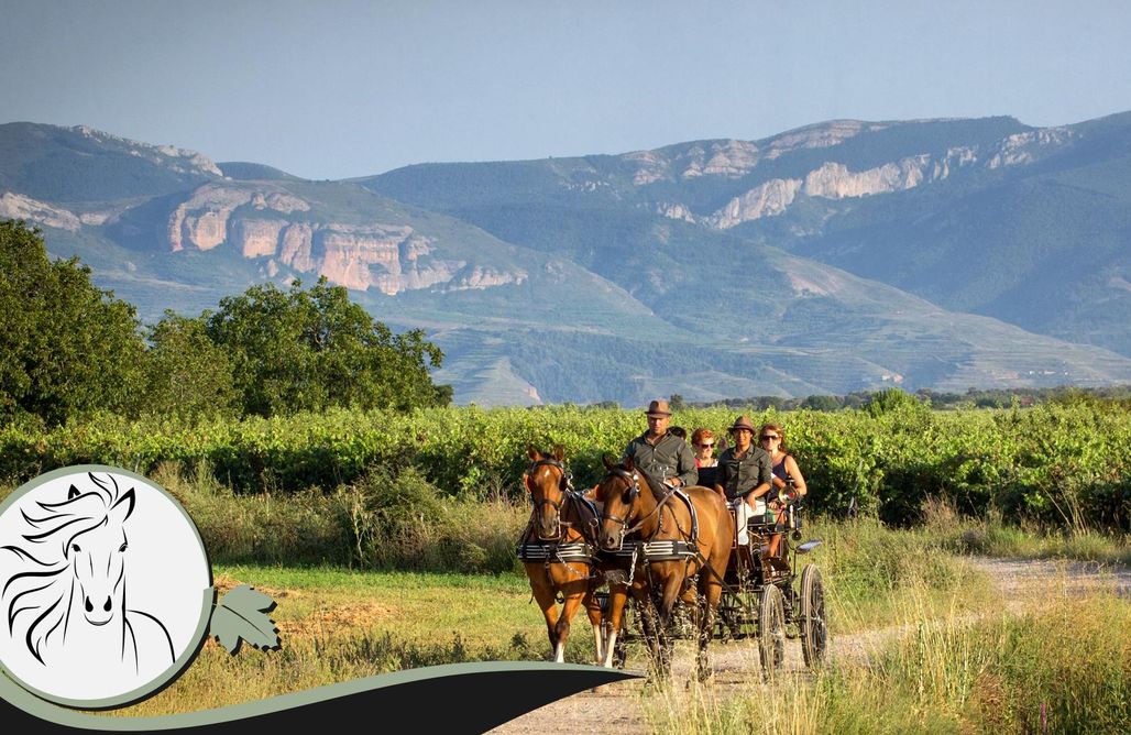 Alojamiento en Soria Enoturismo Ecuestre 2