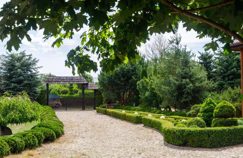 noclegi AlohaCamp Żurobianka 4