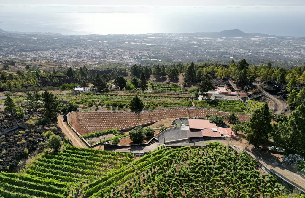 Wakacje Teneryfa Finca Ecológica Ferrera. Alojamiento Rural.  2