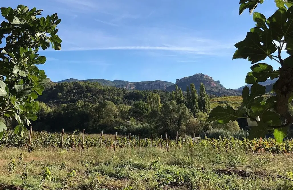 Sitio para caravanas - Celler Gritelles AlohaCamp