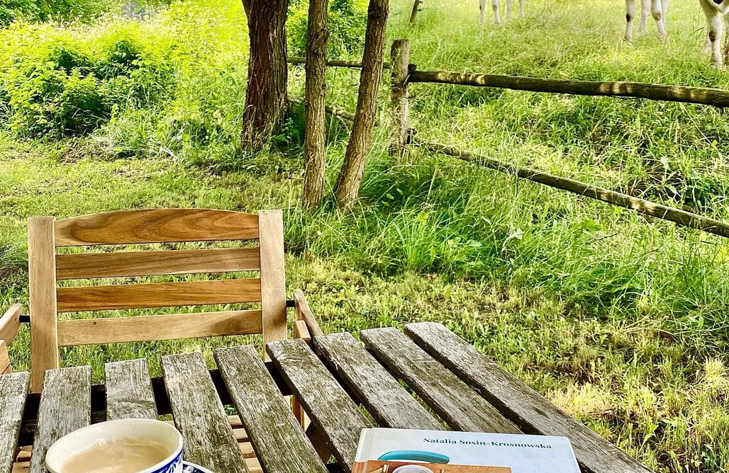 AlohaCamp Dom Mglistych Poranków 4