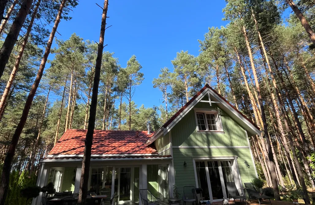 Glamping Lubelskie Domek Leśny Poranek 3