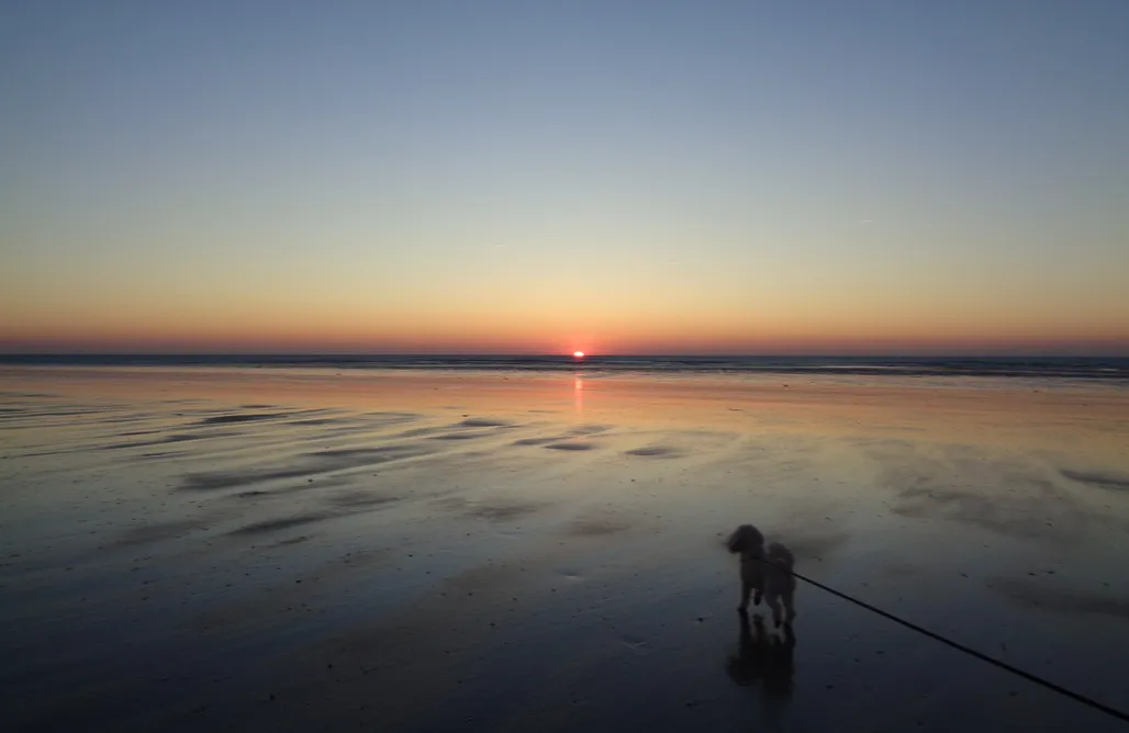 Hébergement AlohaCamp Le Crépuscule, 200m de la plage, animaux bienvenus 1