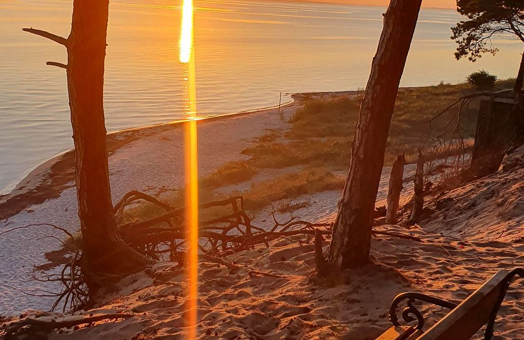 AlohaCamp Miejsce na przyczepę Campingową 2