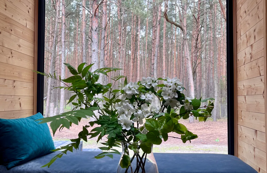 noclegi AlohaCamp Woodland 3