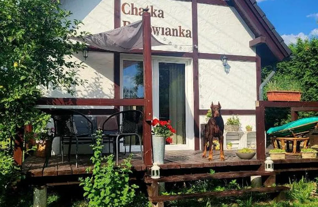 noclegi AlohaCamp Chatka Bukowianka - domek na wsi z basenem. 4