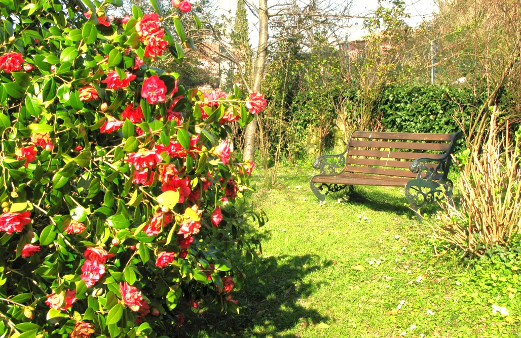AlohaCamp accommodation Casa Rural El Trébano 5