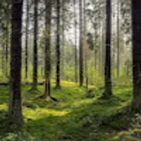 Stanisław użytkownik